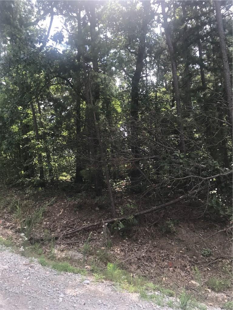 0 Woore Ln unit 1153303, Bella Vista, AR 72714 - photo 1