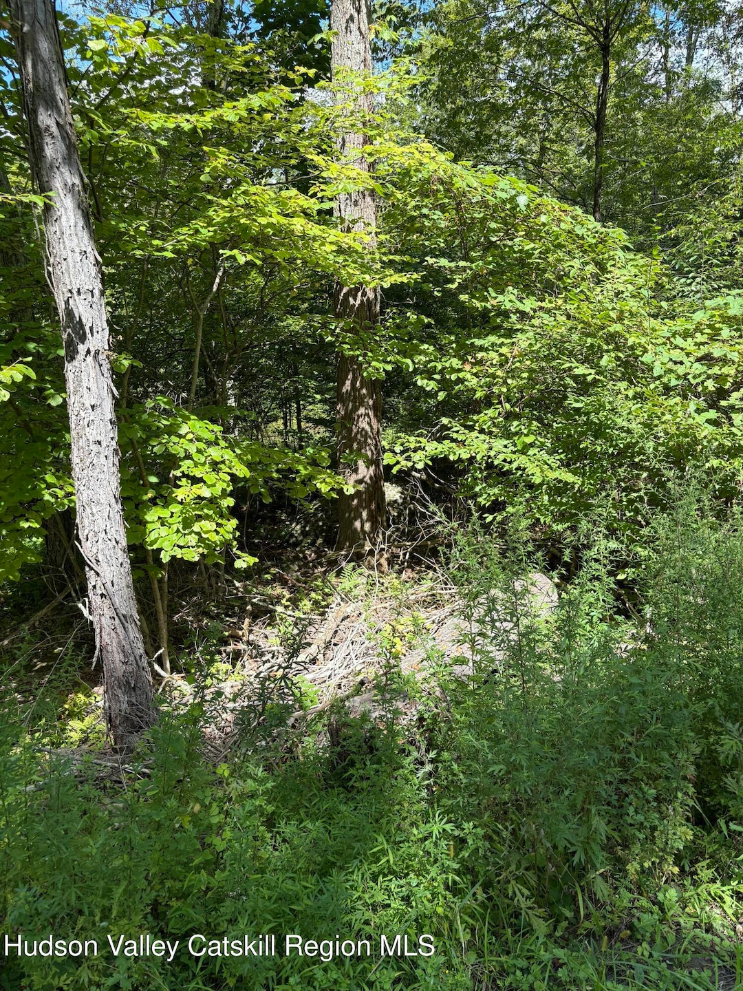 TBD Oak Ridge Rd, Ellenville, NY 12428 - photo 1