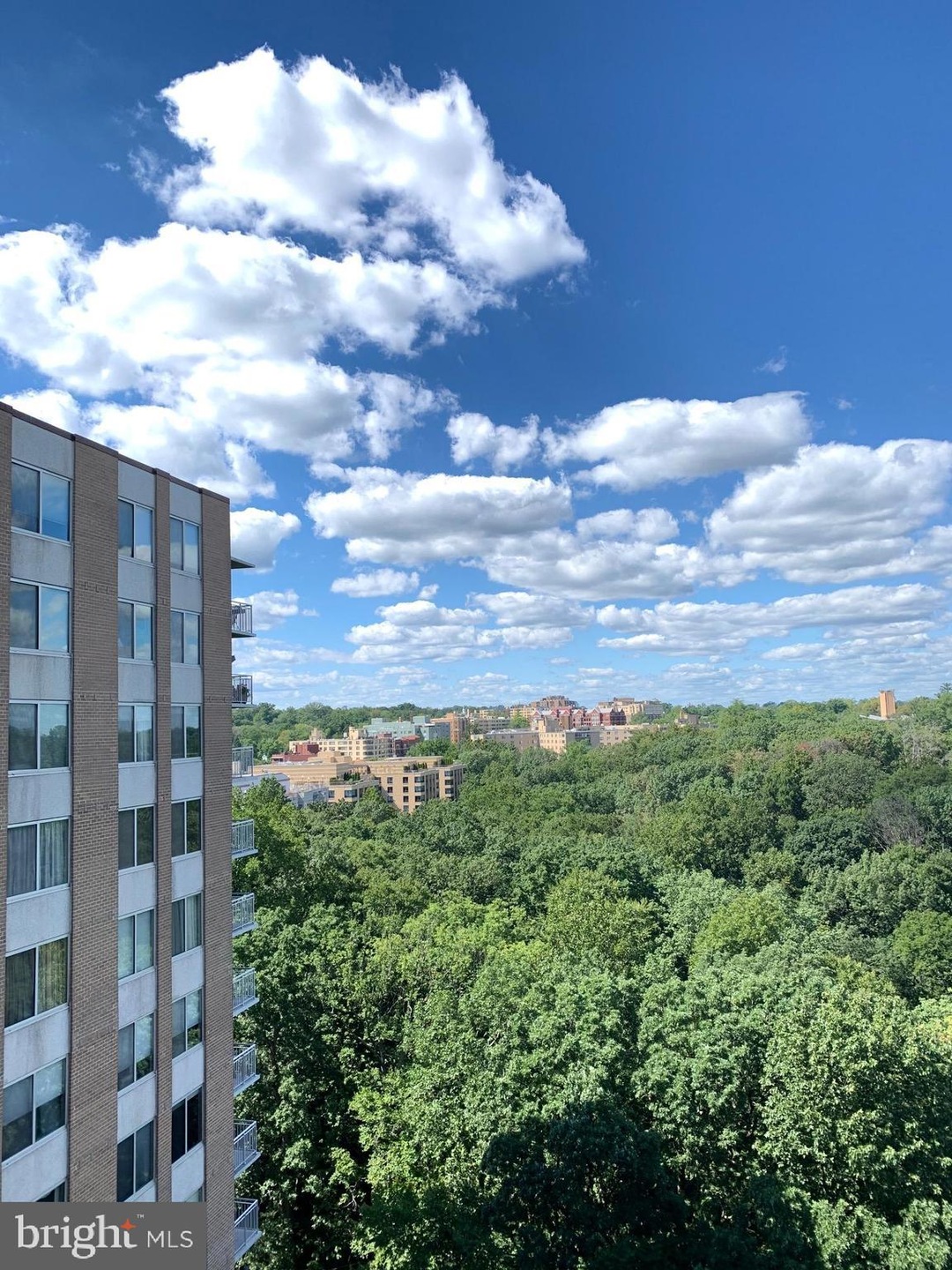 Van Ness North unit 1416, Washington, DC 20008 - photo 1