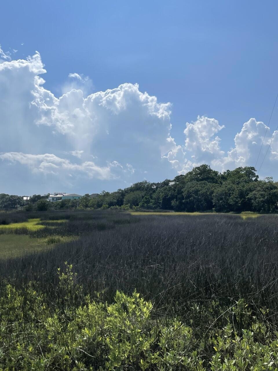HL Marsh