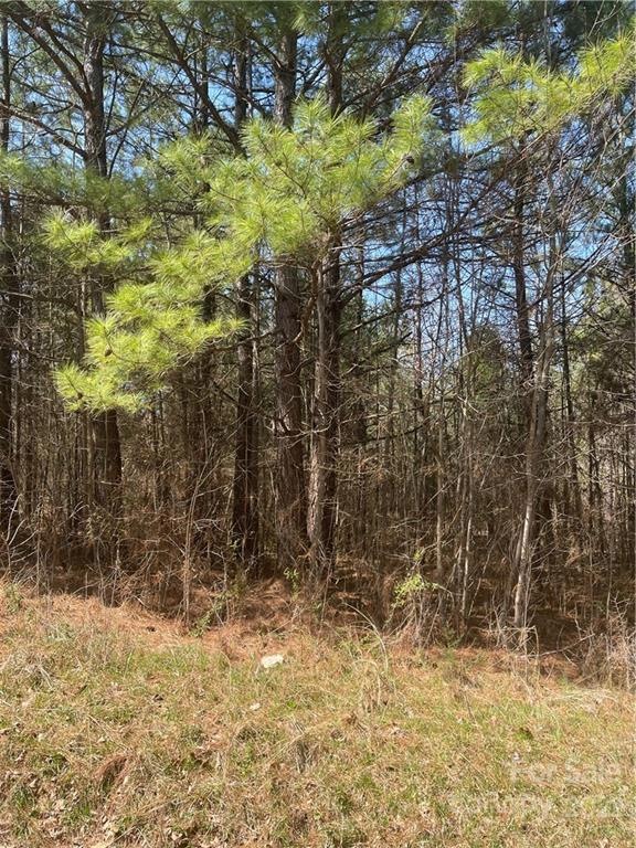 000 River Hill Rd, Statesville, NC 28625 - photo 1