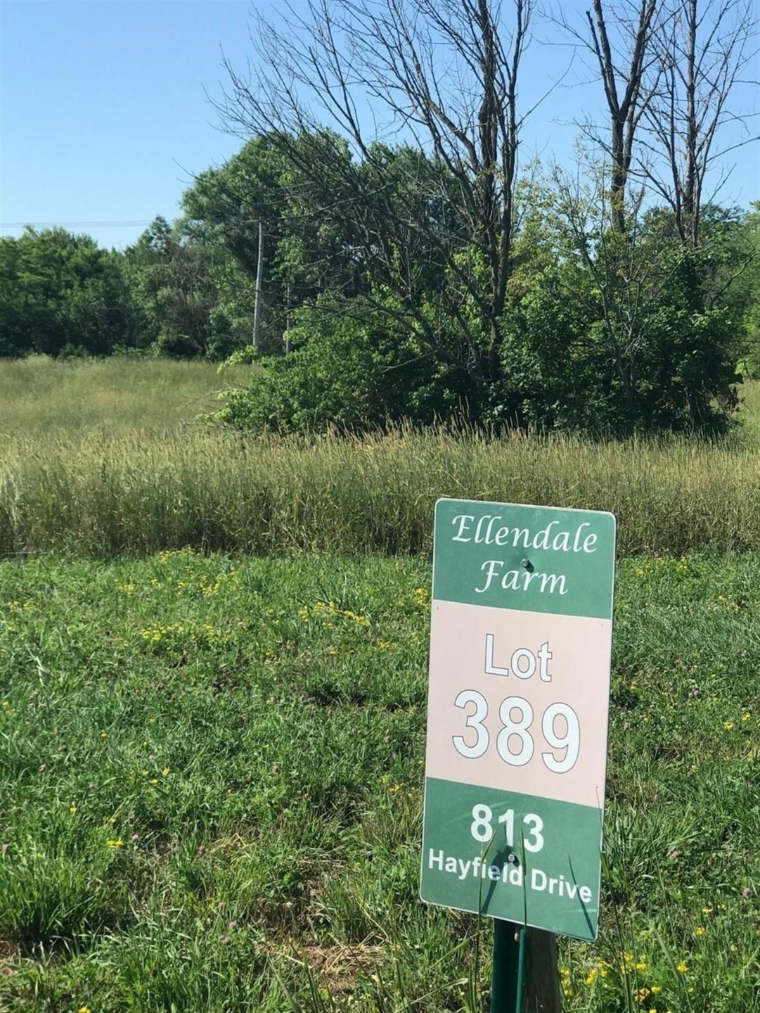 813 Hayfield Dr, Crown Point, IN 46307 - photo 1