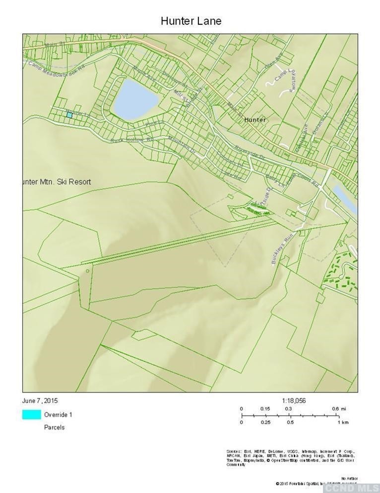 71 Hunter Ln, Hunter, NY 12492 - photo 1