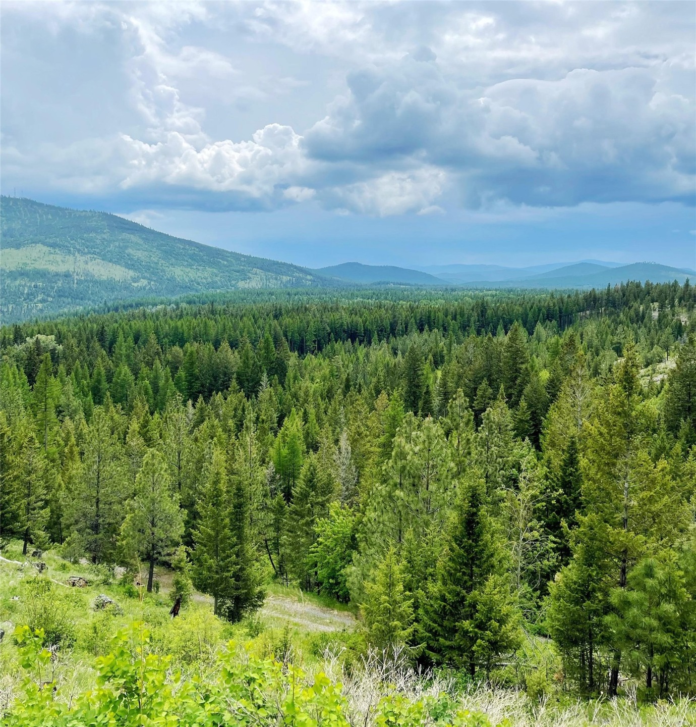 Sold • Co-Listing Agent