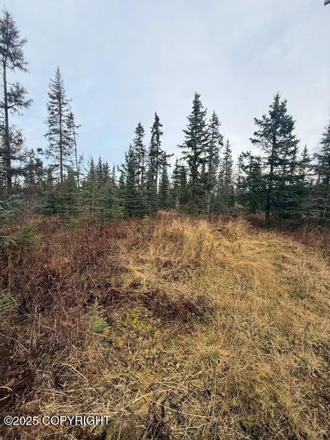 123 Johnny Rd, Kenai, AK 99611 - photo 1