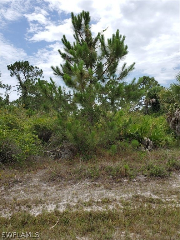 3313 51st St W, Lehigh Acres, FL 33971 - photo 1