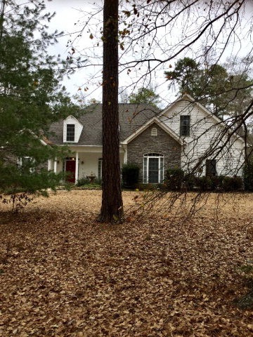 Main View