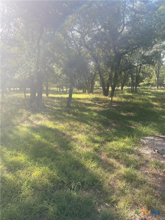 3141 Nibling Ln, Temple, TX 76502 - photo 1