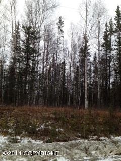 Fernwood1
