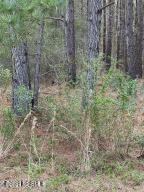 Lot Frontage