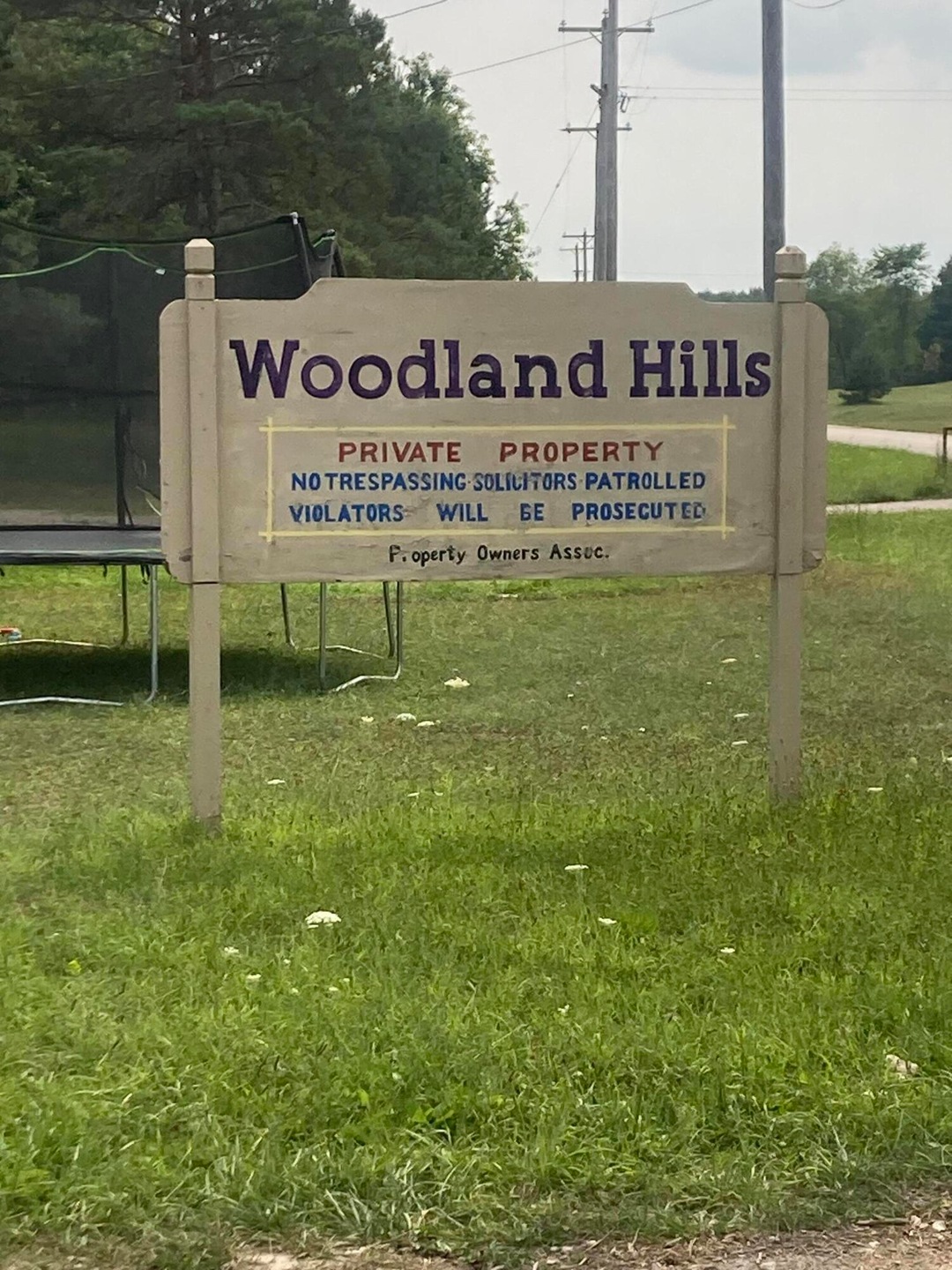 2231 Northerly View Trail, Vanderbilt, MI 49795 - photo 1