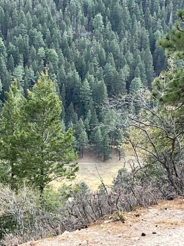 For Sale $110,500 • Co-Listing Agent