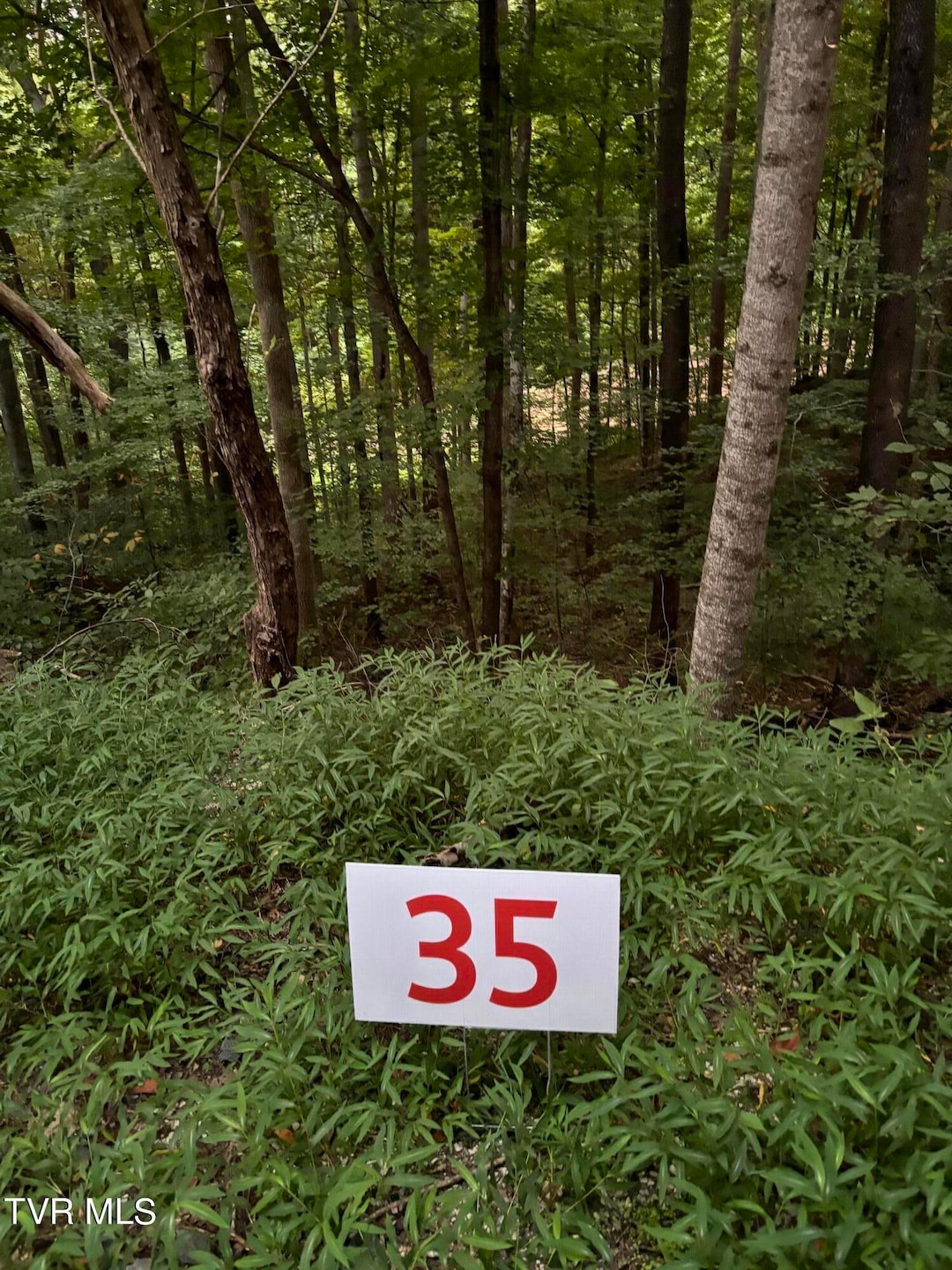 35 Fox Trot Place, Unicoi, TN 37692 - photo 1