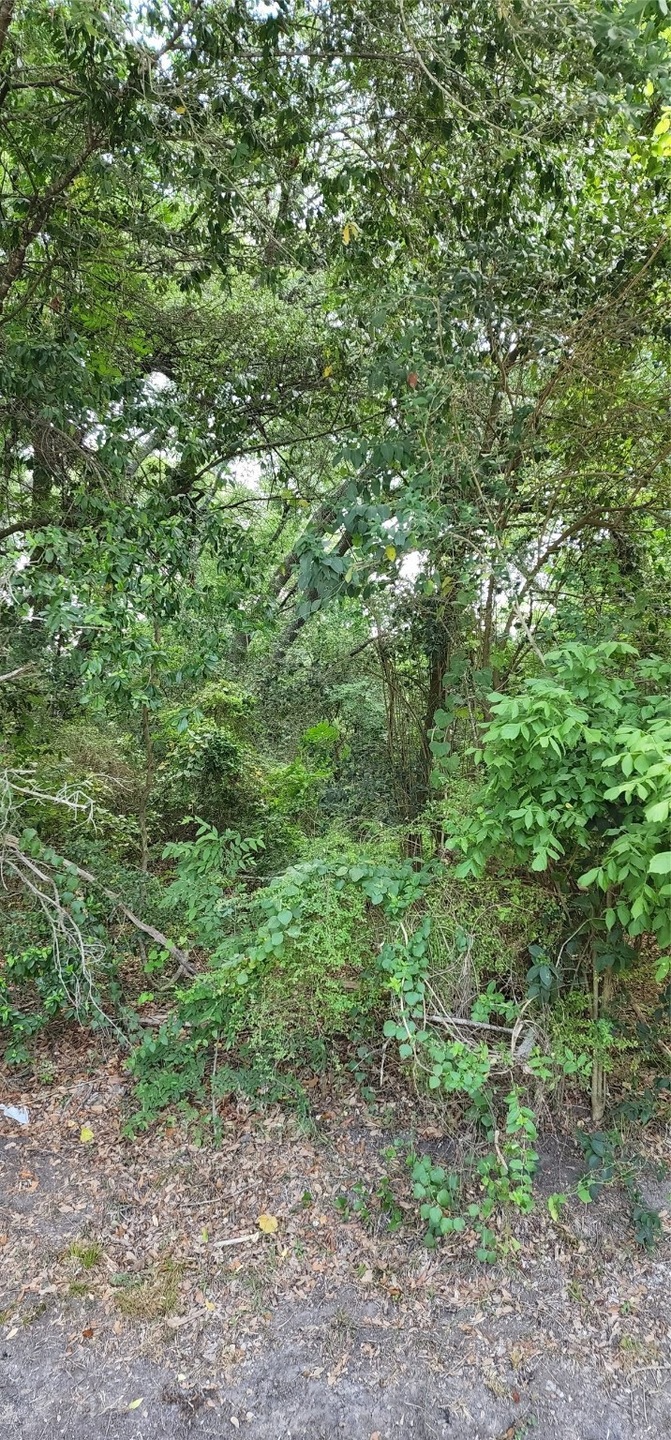 0 Woody-Off unit 9696803, Brookside, TX 77581 - photo 1