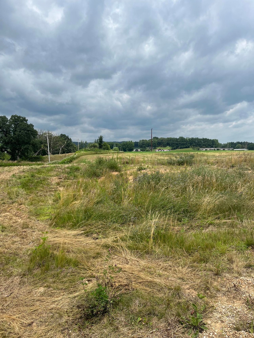 Lot 8 Presley Dr, Galesville, WI 54630 - photo 1