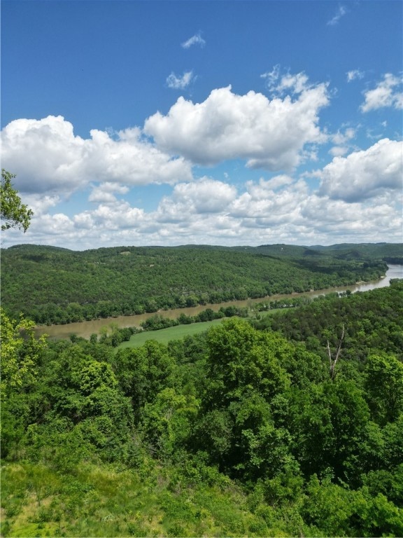view of white river