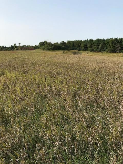 TBD Island Estates (Site12) Dr NW, Pine Island, MN 55963 - photo 1