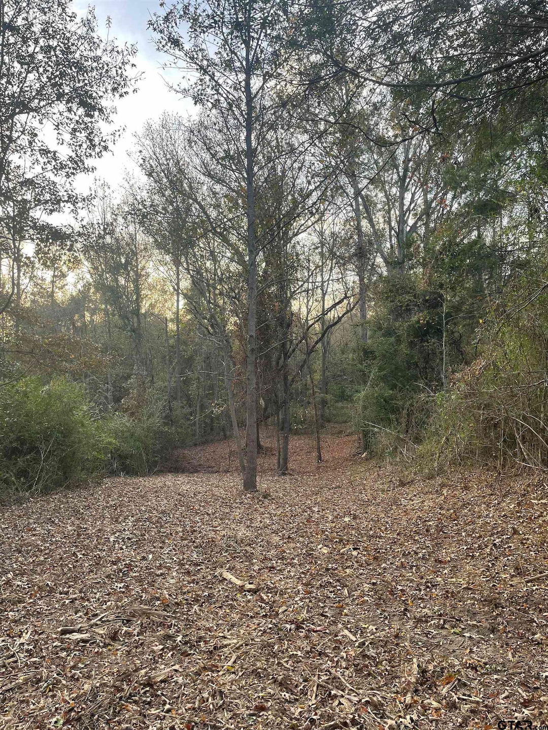 TBD Farm To Market Road 1804, Mineola, TX 75773 - photo 1