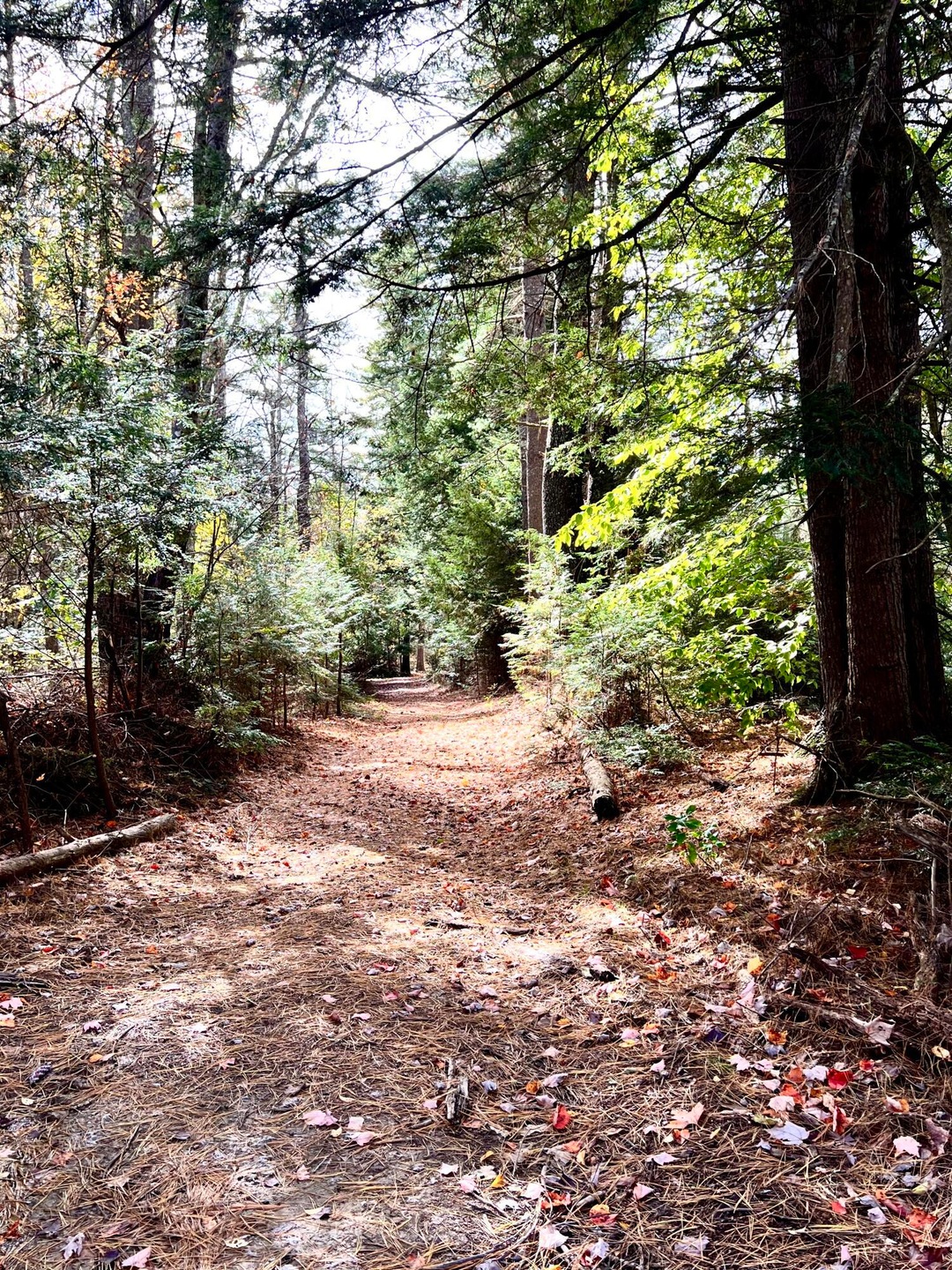 6 Ridlon Rd, Berwick, ME 03901 - photo 1