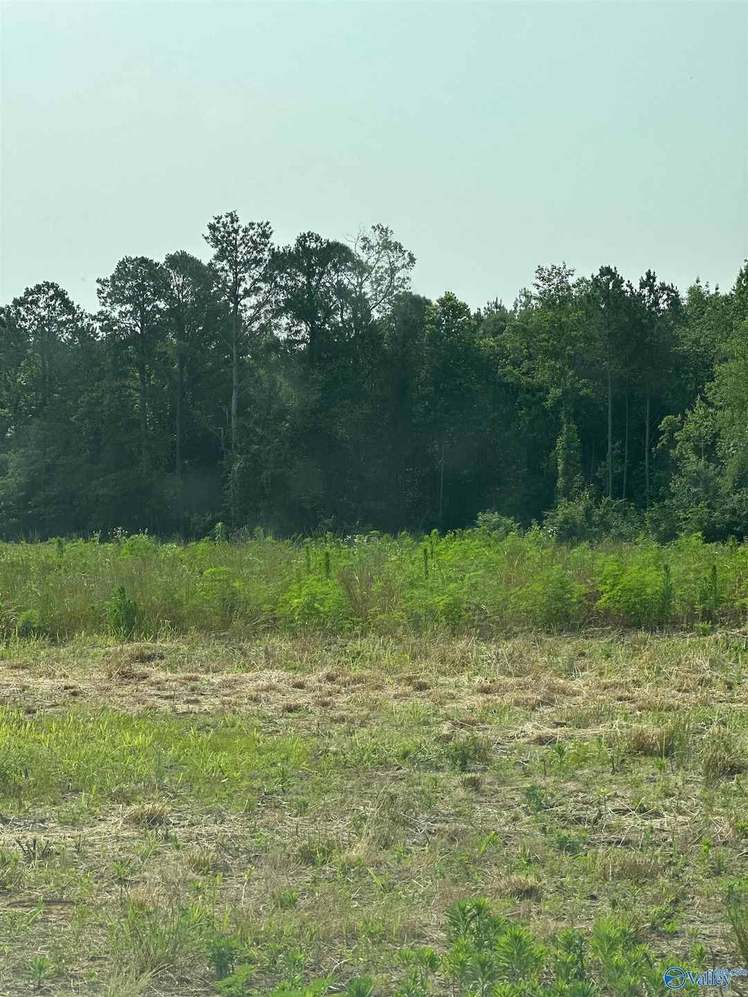 Tract 30 Hays Mill Rd, Elkmont, AL 35620 - photo 1