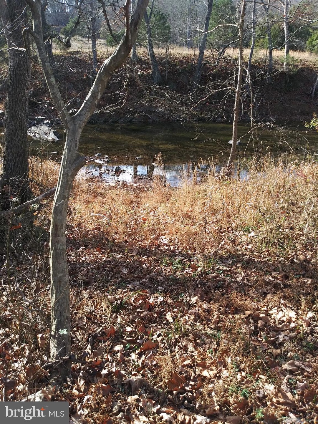 Lot #4 Little Cacapon-Levels Rd, Points, WV 25437 - photo 1