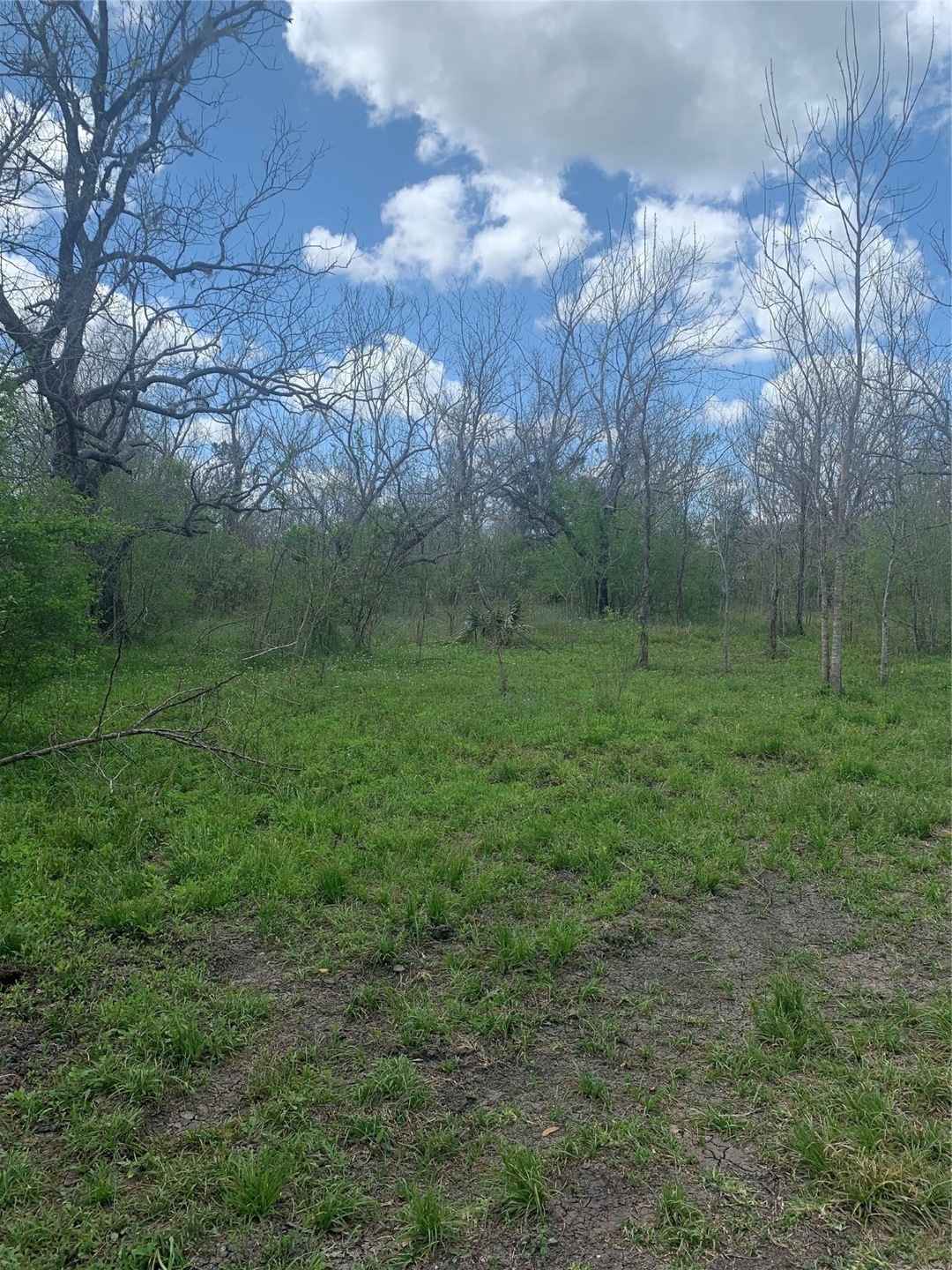 1671 County Road 310, Brazoria, TX 77422 - photo 1