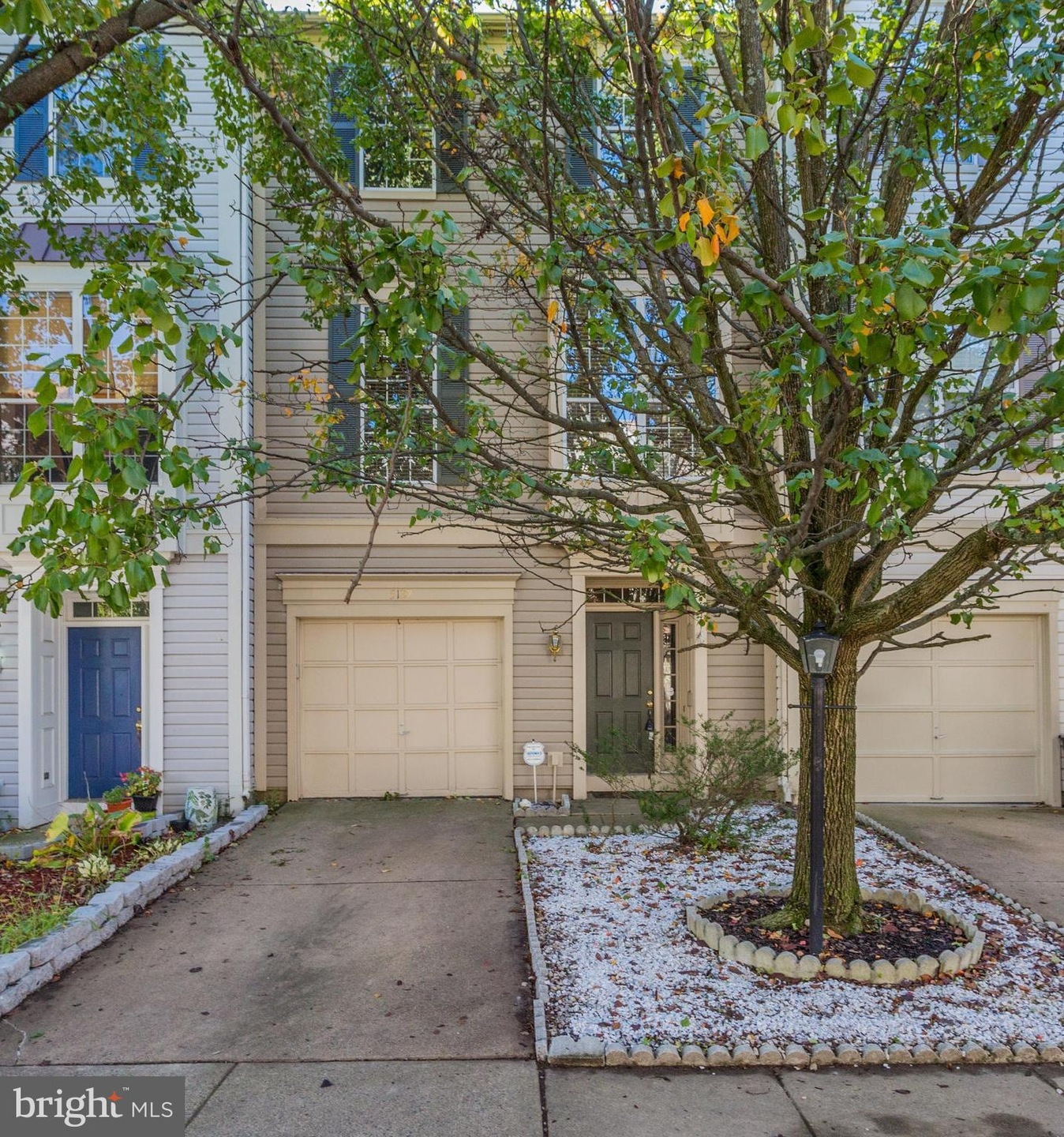 5127 Beauregard St, Alexandria, VA 22312 - photo 1