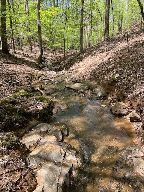 LT 3421 Hart Ct, Ellijay, GA 30540 - photo 1