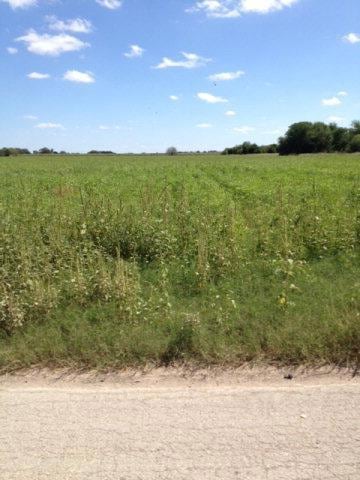 NN S Val Verde Rd, Donna, TX 78537 - photo 1