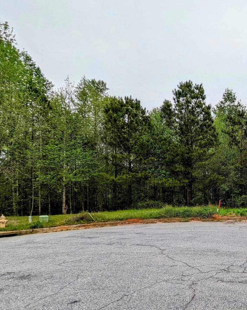 3008 Slippery Rock Ct, Columbus, GA 31909 - photo 1