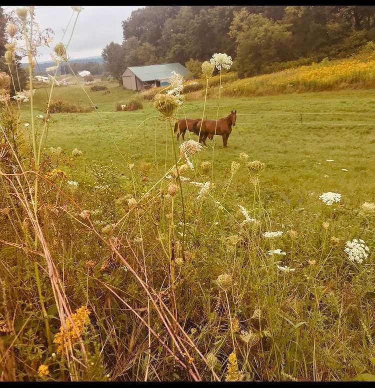 L2 Julia Rd, Clifton, WI 54618 - photo 1