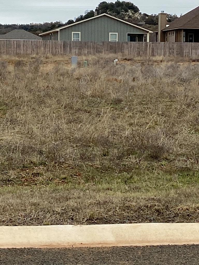 120 Parlin Ln unit 38, Fredericksburg, TX 78624 - photo 1