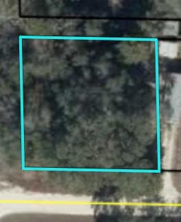 000 NE 823rd St, Old Town, FL 32680 - photo 1