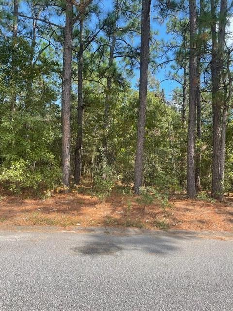 2239 Moncrieff St, Augusta, GA 30906 - photo 1