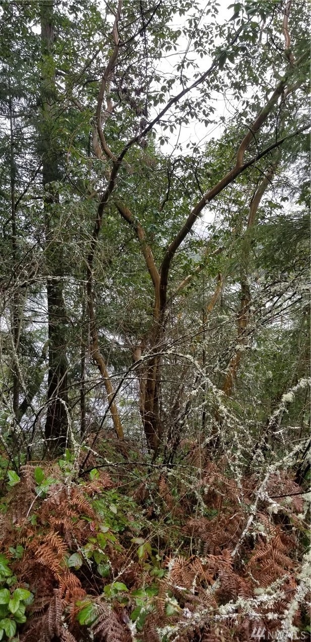 22309 Overlake Loop SE, Yelm, WA 98597 - photo 1