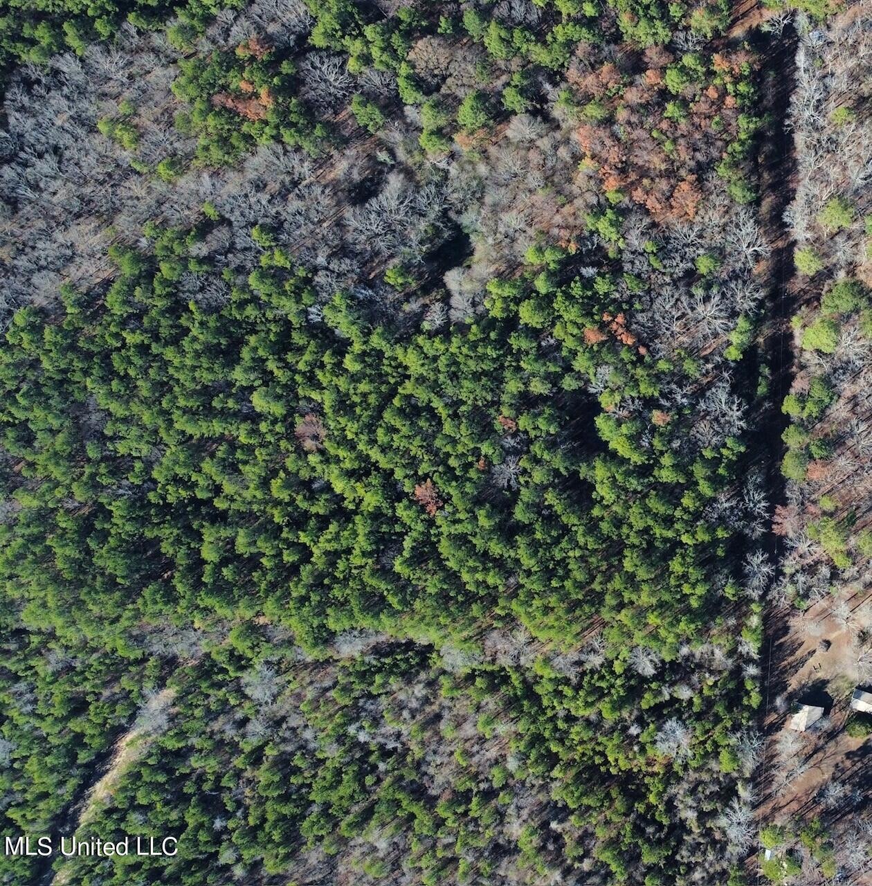 Drone 13