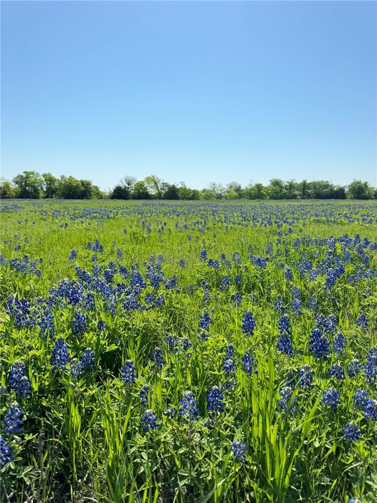 5.01 Acres Farm To Market 308, Penelope, TX 76676 - photo 1