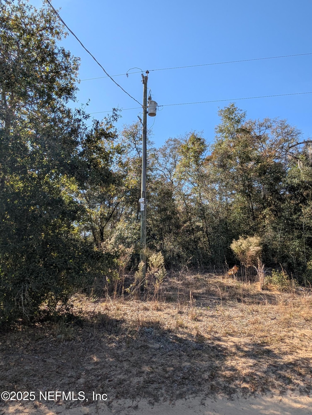 0070-0330 California Ave, Interlachen, FL 32148 - photo 1