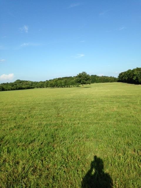 0 Whitaker Rd unit 1732233, Shelbyville, TN 37160 - photo 1