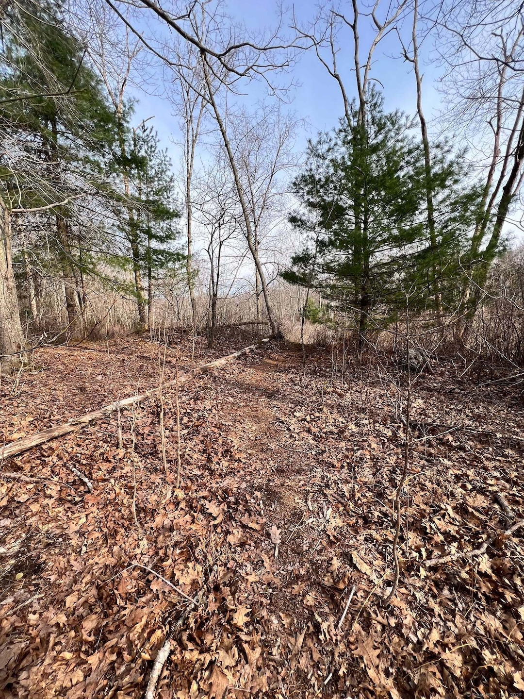 0 Herrick Rd, Brooklyn, CT 06234 - photo 1