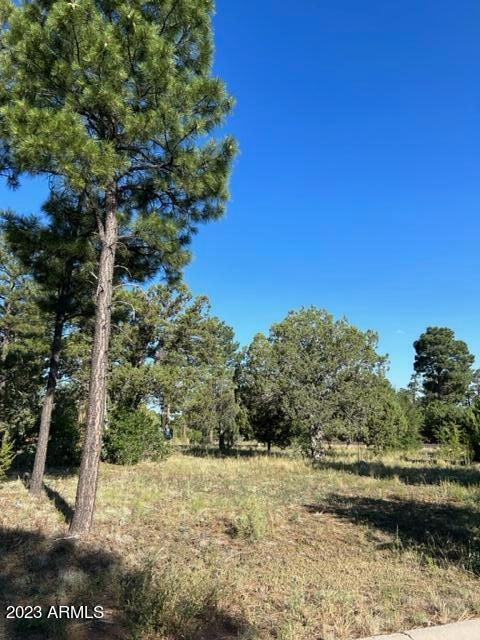 600 S Reynolds Ln unit 51, Show Low, AZ 85901 - photo 1