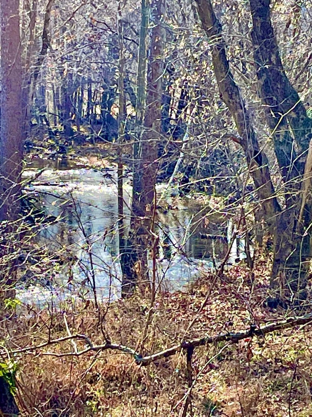 231 Highway 1003, Somerset, KY 42501 - photo 1