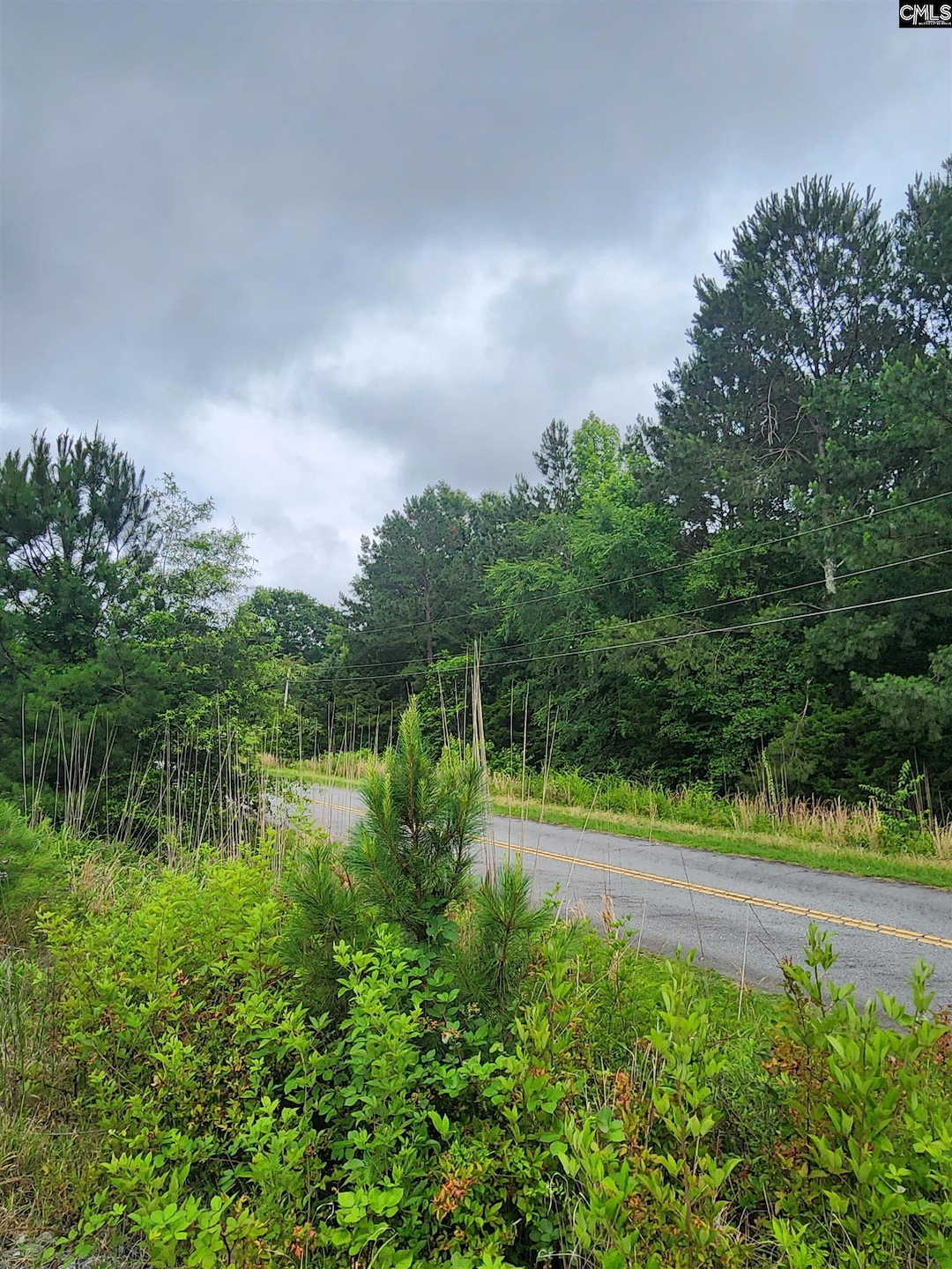 0 Elm St, Prosperity, SC 29127 - photo 1