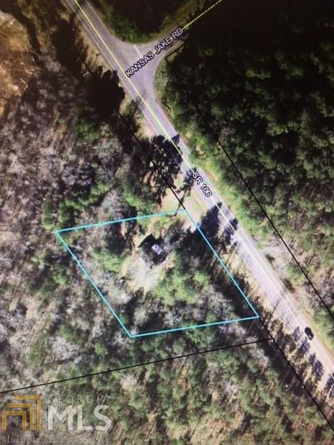 N N Highway 100, Waco, GA 30182 - photo 1