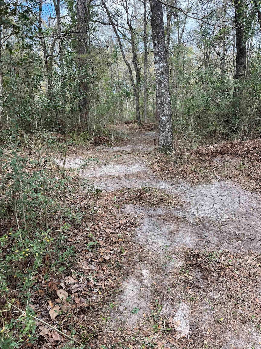 23 Emily Ln, Crawfordville, FL 32327 - photo 1