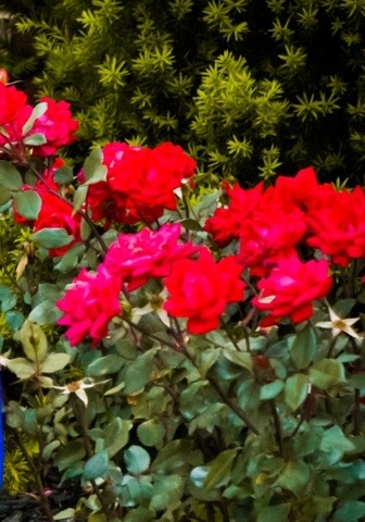 THINK SPRING & SUMMER! Professionally landscaped yard with gorgeous perennial flowers! 