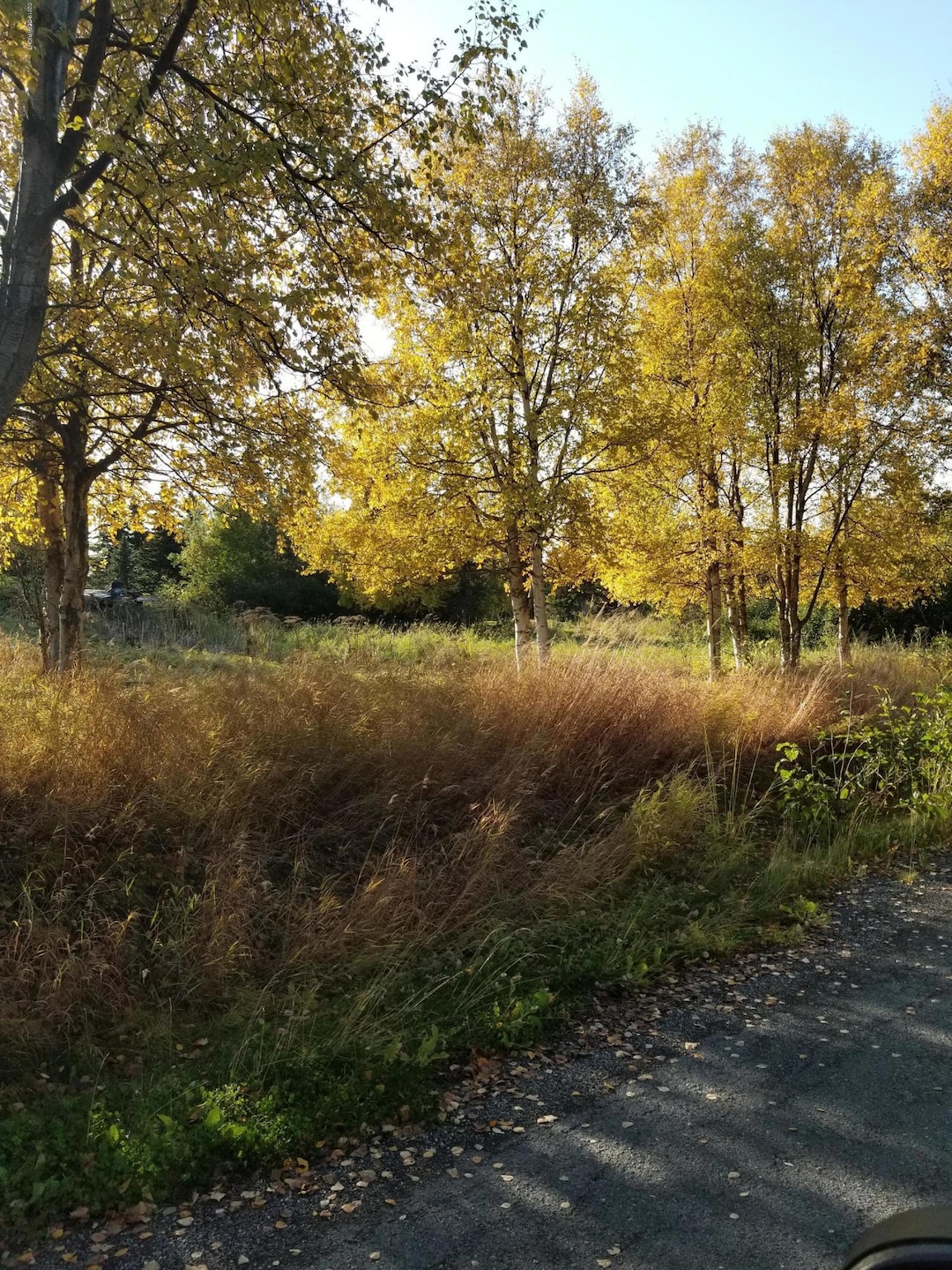20190926_165602
