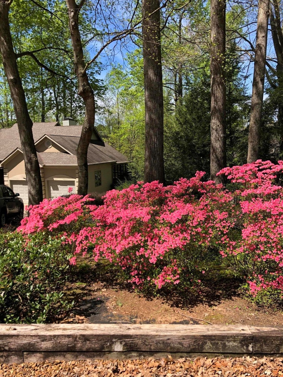 202 Dudala Way, Loudon, TN 37774 - photo 1