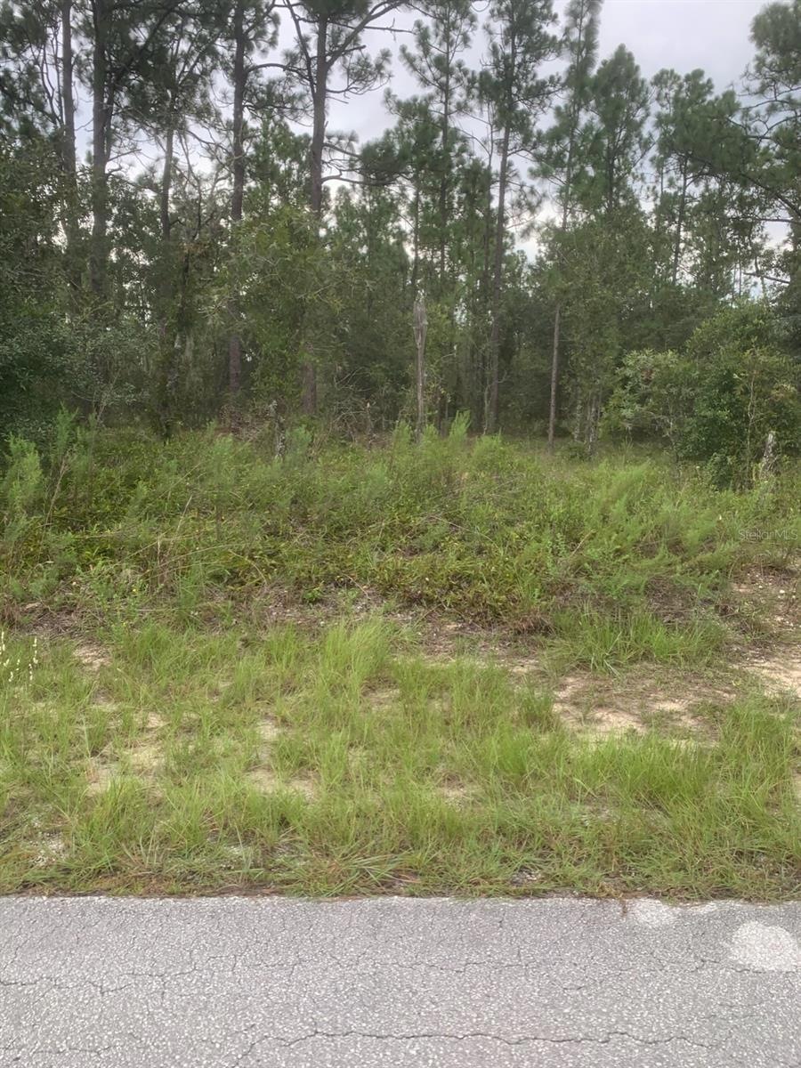 0 SW Anchor Lot 37 Blvd, Dunnellon, FL 34431 - photo 1