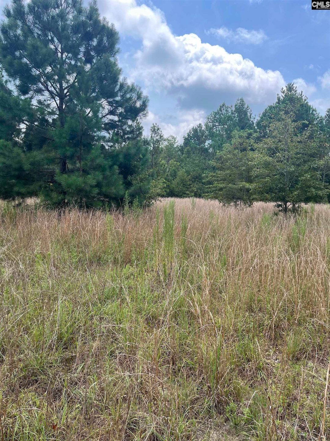 BHL 8 Boise Cascade Rd unit BHL 8, Bethune, SC 29009 - photo 1